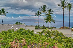 Wailea Ekolu #1308