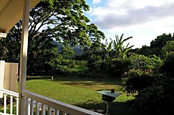 Tutu's Cottage