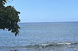 Charming Surfer's Dream Hawaiian Home