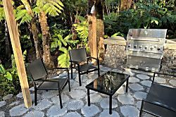 Anthurium Cottage