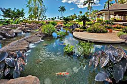 Ko Olina Beach Villa O414