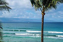Hale Mahina A406 - The Fish Condo