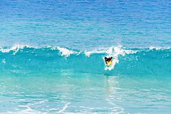 White Sands Village 201