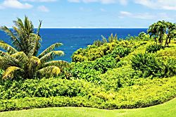 Alii Kai 7201