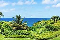 Alii Kai 7201