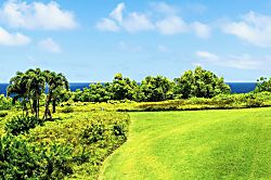 Alii Kai 7201