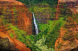 Kiahuna Plantation Resort 331