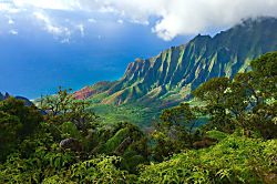 Kiahuna Plantation Resort 331