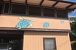 The Flying Honu Beach Retreat