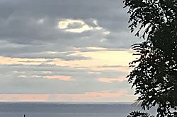 The Flying Honu Beach Retreat