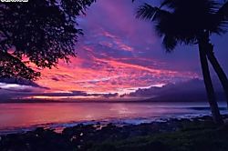 Turtle Cove Oceanfront Estate