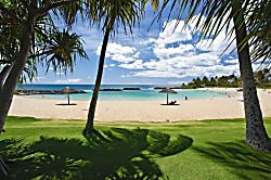 Beach Villas at Ko Olina O-521 - The lagoon is the perfect spot to relax under the trees and enjoy the beach.