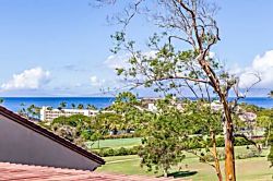 Kaanapali Royal Q302 