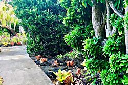 Kiahuna Plantation 9 (Building 3)