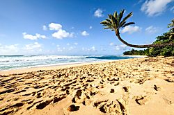 Beach Villas at Ko Olina B-308 - Let your footprints mingle with the breeze—this palm-framed shoreline is your personal cha