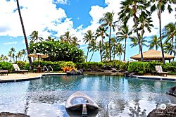 Beach Villas at Ko Olina O-1604 - Whether you’re cooling off or basking in the sun, the pool area is a serene oasis of calm