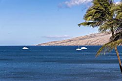 Kihei Beach Resort 501
