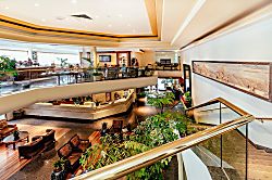 Luana Waikiki Hotel Studio 8th Floor