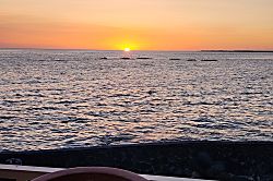 Sea Village 4104 - The Turtle House