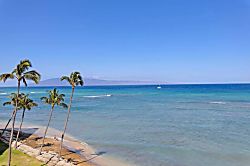 Royal Kahana 612