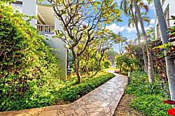 Hale Mahina B403 