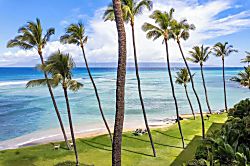 Hale Mahina B403 
