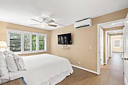 Royal Mauian 218
