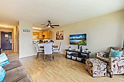 Kihei Akahi C308