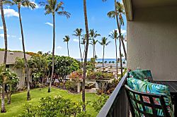Kihei Akahi C308