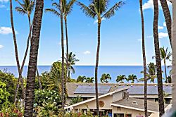 Kihei Akahi C308