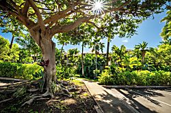 Wailea Grand Champion Golf Villa 2B/2B
