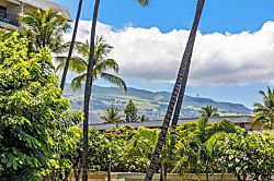 Kihei Akahi C320 Studio
