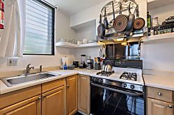 Kihei Akahi C320 Studio