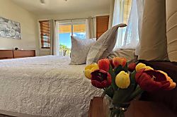 Nakoa Carriage House 