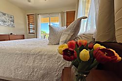 Nakoa Carriage House 