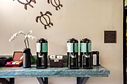 Maui Kaanapali Villas B242