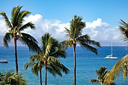 Maui Kaanapali Villas B242