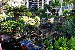 Beach Villas at Ko Olina O-421 - Property grounds