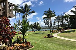 Lae Nani Condo #317