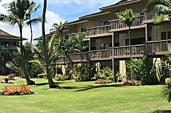 Lae Nani Condo #317