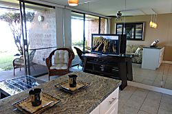 Kuleana 708 - 55 Inch TV
