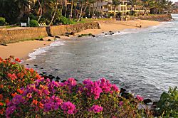 Kuleana 708 - Just a dozen steps to the beach
You may often find yourself alone