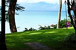 Kuleana 708 - can you see two turtles just left of centre?