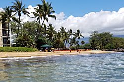 Kihei Beach 310