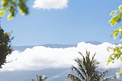 Kihei Treehouse Cottage