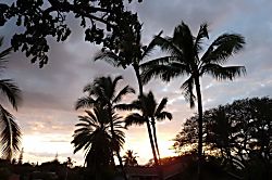 Kihei Treehouse Cottage