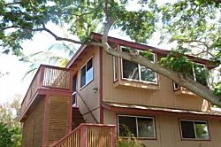 Kihei Treehouse Cottage