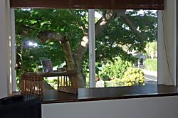 Kihei Treehouse Cottage
