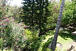 Kihei Treehouse Cottage