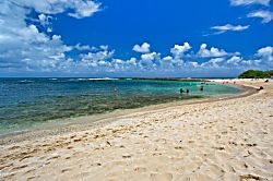 The Ohana Condo at Turtle Bay